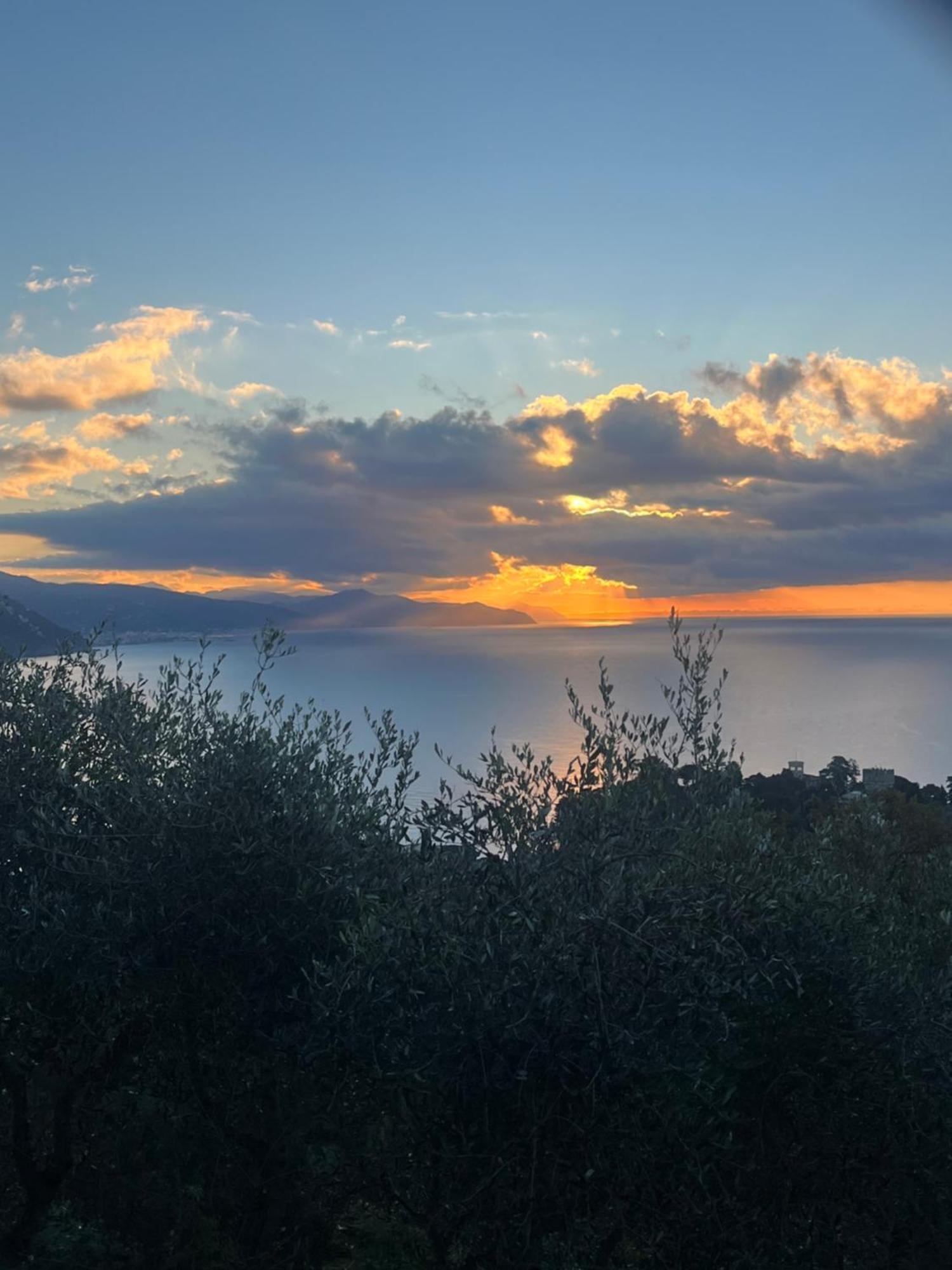 La Conchiglia Bed & Breakfast Camogli Eksteriør bilde