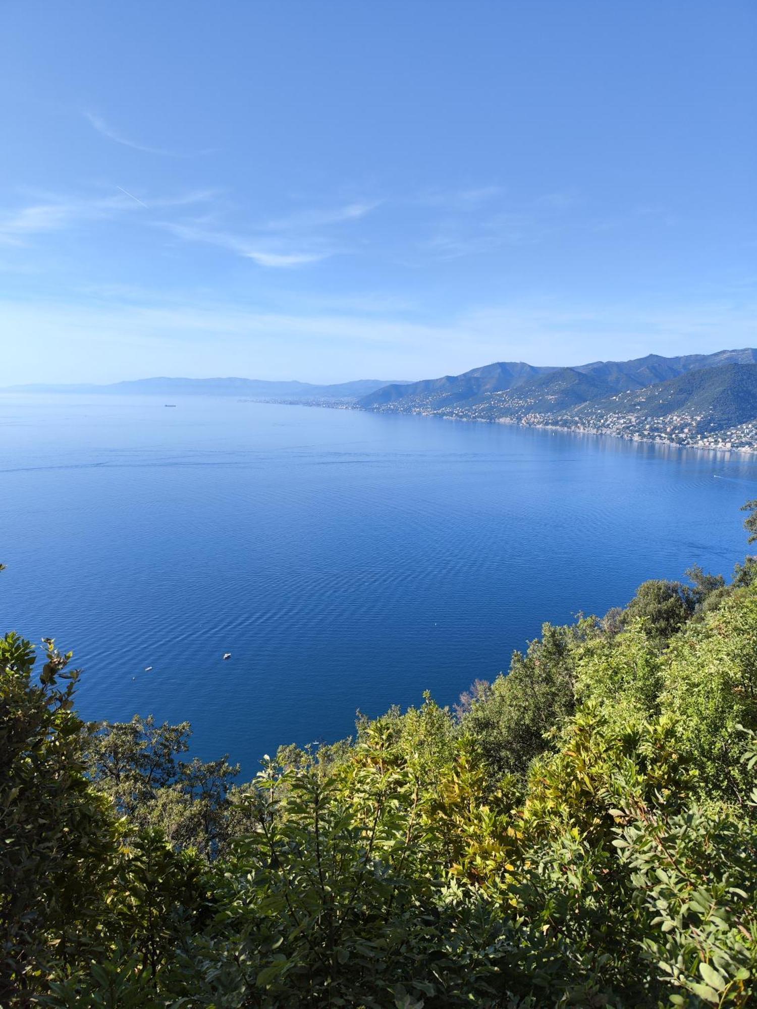 La Conchiglia Bed & Breakfast Camogli Eksteriør bilde