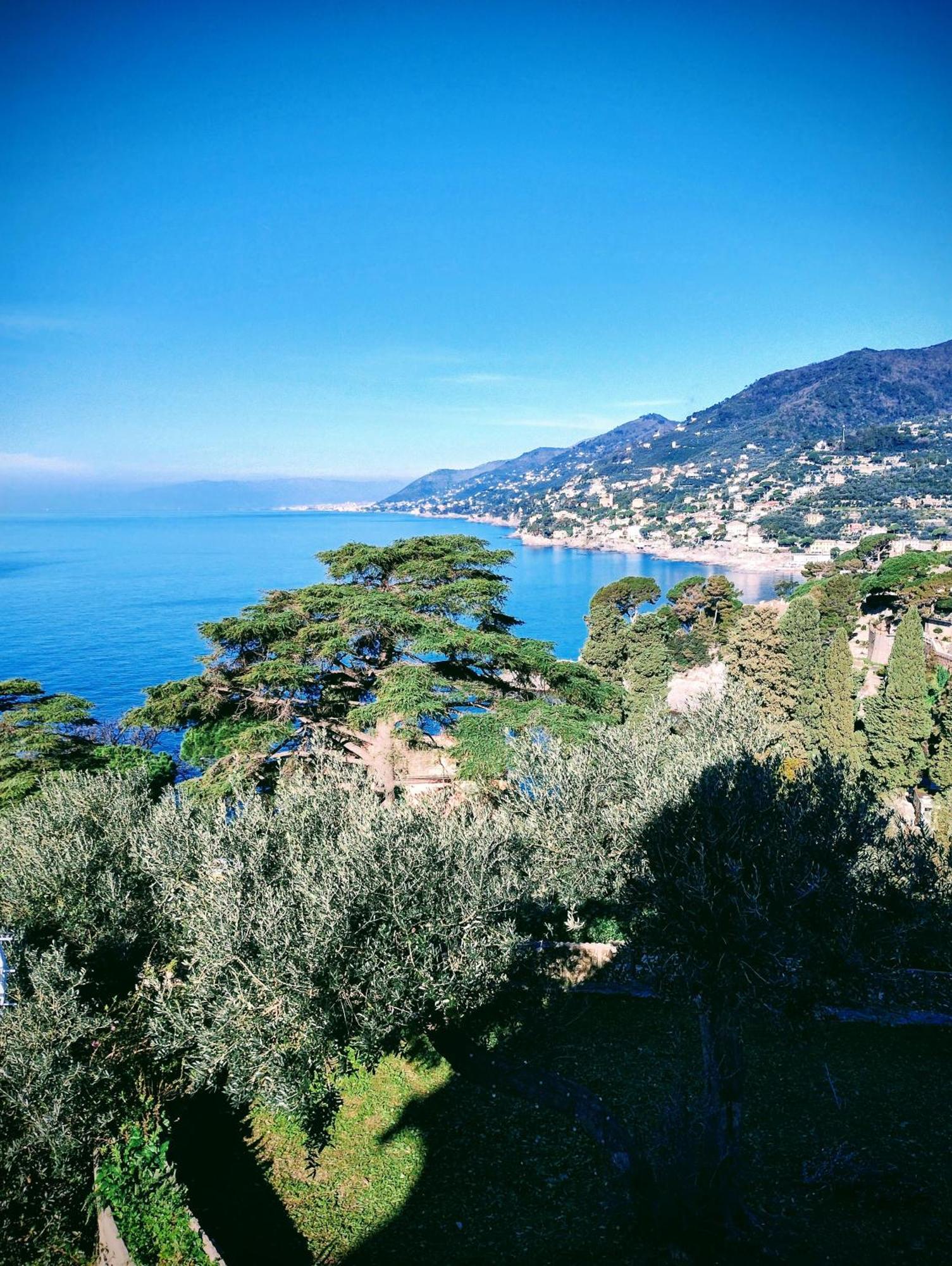 La Conchiglia Bed & Breakfast Camogli Eksteriør bilde