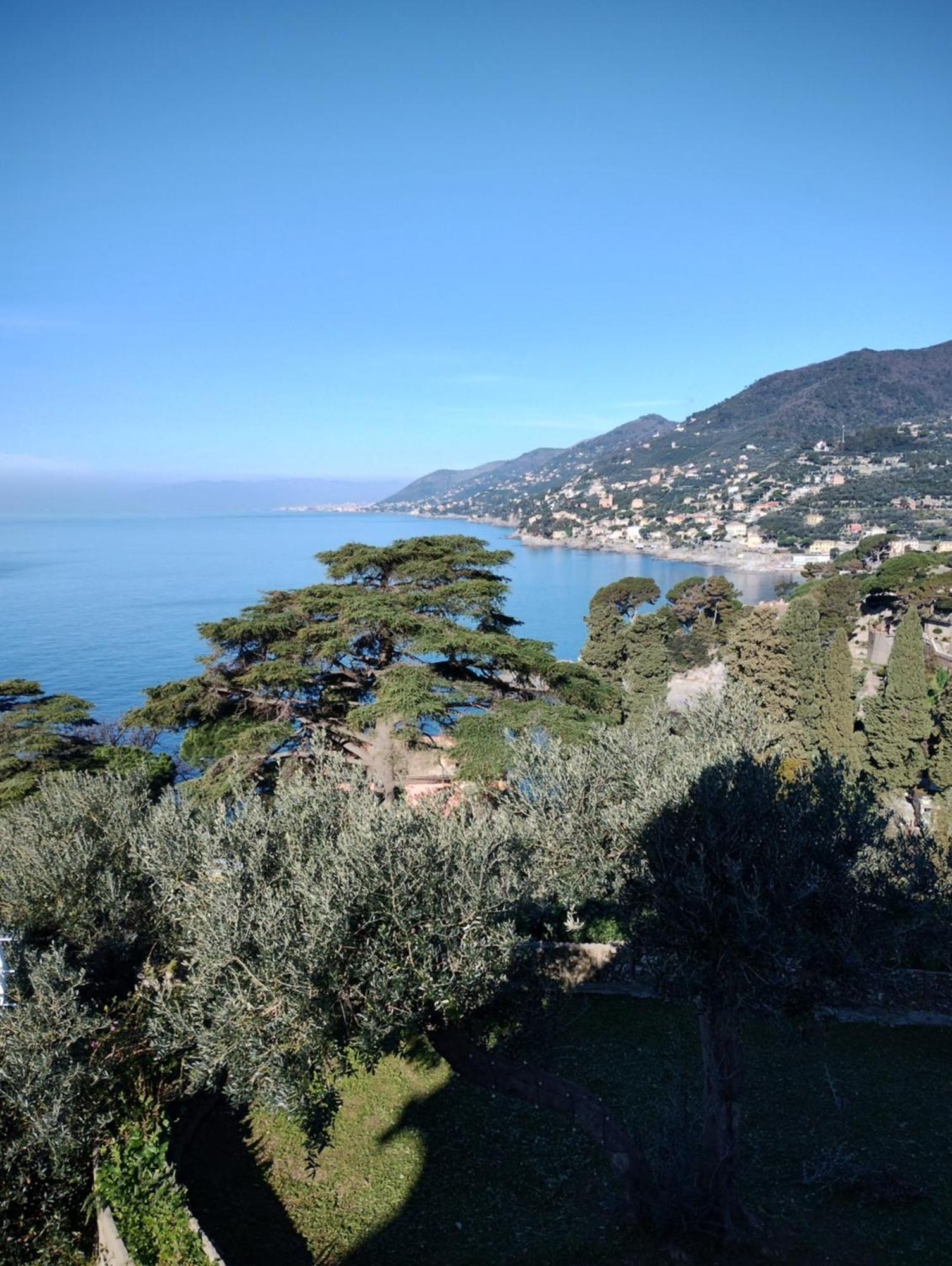La Conchiglia Bed & Breakfast Camogli Eksteriør bilde